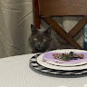 Meet your Posher, Cooper